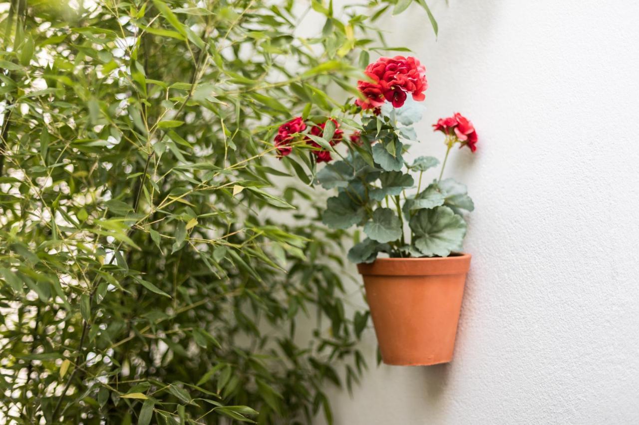 Alfama Design Villa リスボン エクステリア 写真