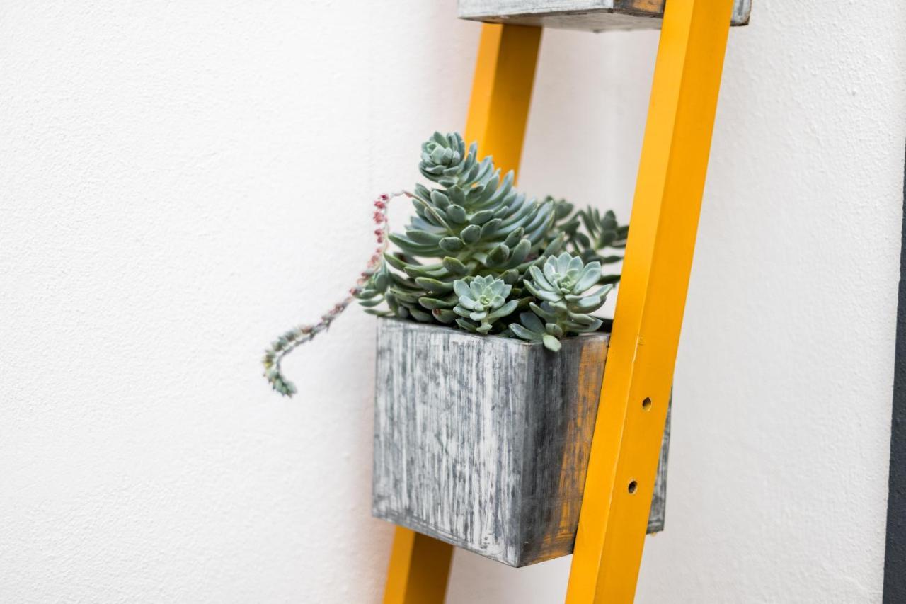 Alfama Design Villa リスボン エクステリア 写真