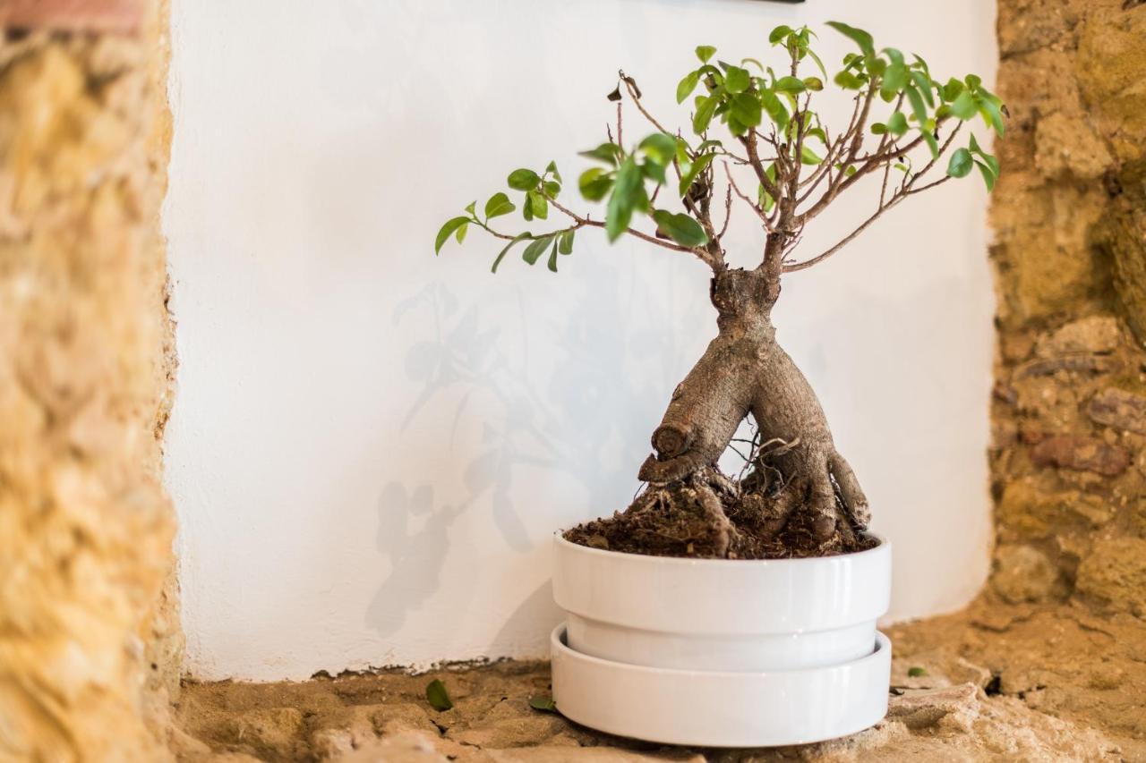 Alfama Design Villa リスボン エクステリア 写真