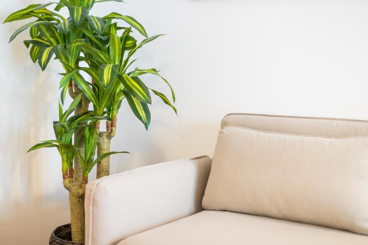 Alfama Design Villa リスボン エクステリア 写真